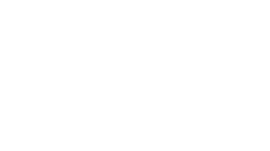 Track & Secure Footer Logo